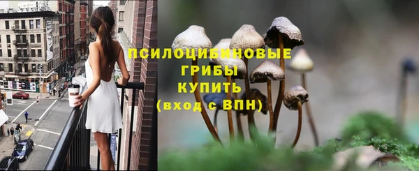 сатива Алексин